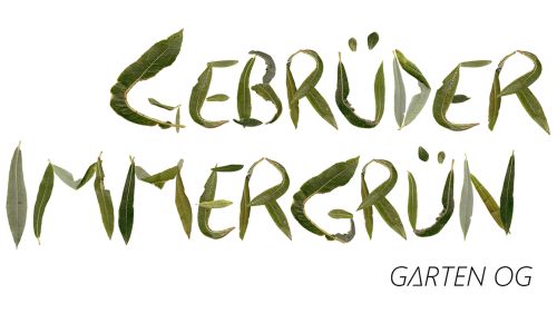 Logo Gebrüder Immergrün Garten OG